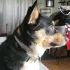 Brady Bair - @brady.bair3 - TikTok