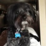 Brady Tom Bair - @bradytheboss1224 - Instagram