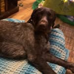 Brady Baumann - @bradybaumann23 - Instagram