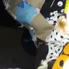 Thepaulbrady - @bradybaumann8 - TikTok