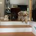 Brady Bell - Facebook