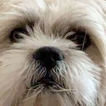 Brady Bell - @bradybell1320 - Instagram