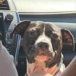 Brady Bell - @brady_bell2010 - Instagram