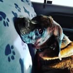 Brady Benson - @bradybenson8 - Instagram