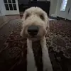brady - @brady_benson - TikTok