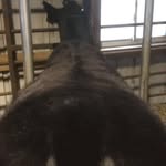 Brady Bickel - @bickelbrady - Instagram