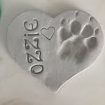 Brady Bottoms - @bradybottoms - Instagram
