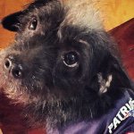Brady Buchanan - @bubbatrimp_2 - Instagram