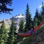 Brady Carlson - @boardnoleash - Instagram