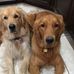 Brady Carlson - Facebook