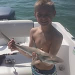 Brady Cassini - @bradycassini - Instagram