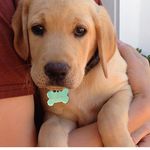 Brady Cline - @fr1_brady - Instagram