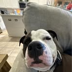 Brady Cox - Facebook