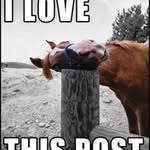 Brady Curtis - @brady_curtis1 - Instagram