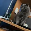 user8938308265478 - @brady_dillon - TikTok