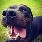 BRADY - @brady_____dixon__yv81o - Instagram