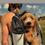 Brady Dixon - @bradydixon37 - Instagram