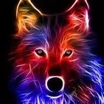 Brady Dixon - @bradydixon5014 - Instagram