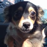 Patrick Brady Donovan Shaw - @patrickbradydonovanshaw12 - Instagram