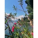 Brady - @bradydoyle__t8sx - Instagram