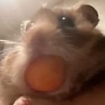 Brady Doyle - @doyle52775 - Instagram