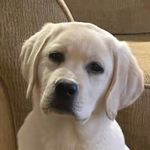 Brady Doyle - @bradyd.doyle - Instagram