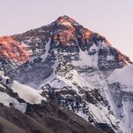Brady Edwards - @peak_potential_mentality - Instagram