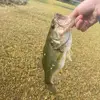 Brady Edwards - @brady.edwards98 - TikTok