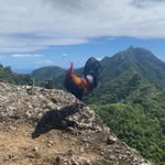 Brady Ellis - @bradyellis__ - Instagram