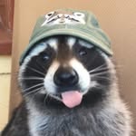Brady Ellison - @orange7570 - Instagram