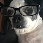 Brady Farrington - @bradytheboston - Instagram