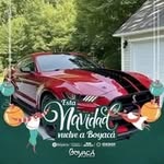 Brady Ford - @bradyford62 - Instagram