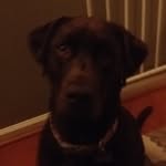 Brady Gallagher - @bmgbeast - Instagram