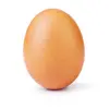 Brady Gallagher - @bradyegg - TikTok