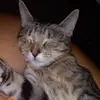 ginnybrady879 - @ginnybrady879 - TikTok