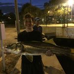Brady Goodman - @smallfishbigfishfishing - Instagram