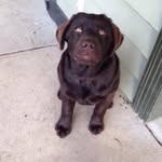 Brady Green - @bradygreen16 - Instagram