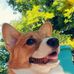 Brady Greer - Facebook