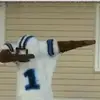 brady_grimes_13 - @brady_grimes_13 - TikTok