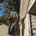 Brady Hall - @bradyhall24 - Instagram