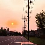 Brady Hall - @bradyhallstuff - Instagram