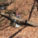 Brady Hall - @brady_hall04 - Instagram