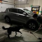 Brady Hanson - @brady_hanson_ - Instagram
