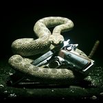 brady hanson - @bradyhanson10 - Instagram