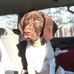 Brady Hanson - Facebook