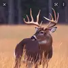 BradyHeller08 - @bradyheller08 - TikTok