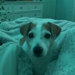 Brady Henderson - @_bradyhenderson - Instagram