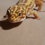Brady - @brady_herbert34 - Instagram