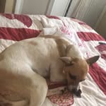 Bradyhester - @bradyhester85 - Instagram