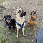Brady Howard - @_brady.howard_ - Instagram